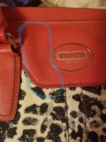 20180905_234450.jpg