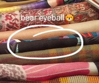 hermes grrrrr! eyeball.jpg