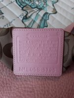 20180907_165447.jpg