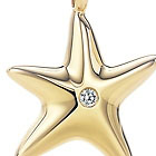 star.jpg