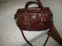 Madison exotic 001.JPG