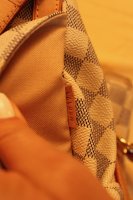 IMG_2884.jpg