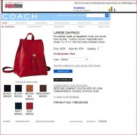 9791 Large Daypack 2000 Intro Fall 1998.JPG