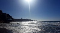 20180916_162040.jpg