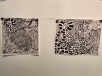 C2DD0DAE-27F4-43AA-976B-702E96DC8C03.jpeg