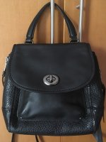 Coach Faye-1.jpg