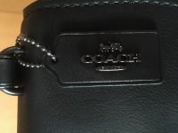 Coach Faye-5.jpg