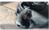 Bad Bal buckle.jpg