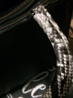 Snake Handle after Saphir 1.JPG