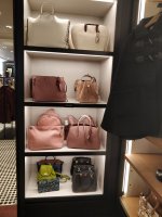 IMG_20180922_125424.jpg
