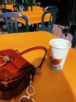 Introducing the Chloé Tess Bag - PurseBlog