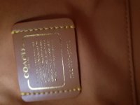 20180924_125301.jpg