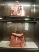 20180926_172337.jpg