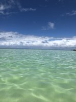 IMG_0528.jpg