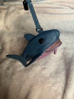 IMG_0284.jpg
