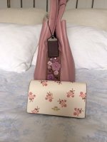 Dusty Rose Bandit w: Clutch - side.JPG