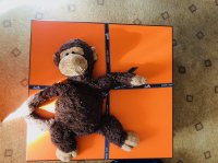 IMG_8993-2.jpeg