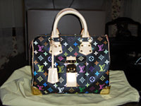 A Louis Vuitton Coussin Reminiscent of LV Multicolore - PurseBlog