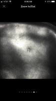 346C30F7-F42C-4303-8B15-6EEE2D935995.png