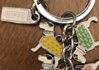 multi-pet w unk logo on coats_ sparkle940_oct11-2018.jpg