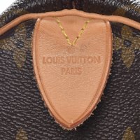 louis-vuitton-monogram-speedy-30-23.jpg