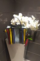 IMG_20181013_1844133.jpg