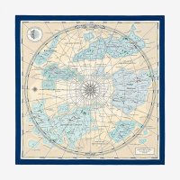 planisphere-d-un-monde-equestre-scarf-140--673250S 02-flat-1-300-0-1299-1299.jpg