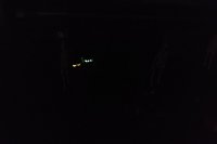 IMG_20181031_1848289.jpg