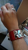 2018-10-24 Hermès Collier de chien WB1.jpg