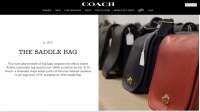 saddle bag 1972.PNG