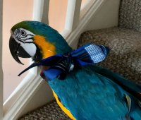 7E7DDE5E-9ABC-41C3-BBEF-2A2B13072178.jpeg