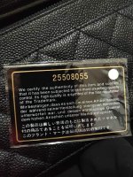 1F6611F2-06BF-410A-A16B-2A3BF39B29B3.jpeg