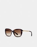 Sunnies.jpg