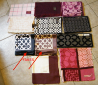 n.s.treasures fake Coach scarves in lot 1.png