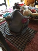IMG_3446.JPG