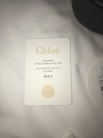 Chloe7.jpeg