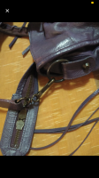 8E407007-7489-4D04-90C5-03226186A5E5.png