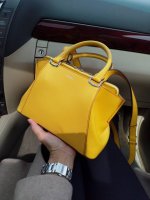 Panthère cartier bag: opinion? : r/handbags