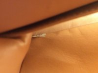 E8094231-AEA5-4AB1-BD2E-BD887A51588A.jpeg