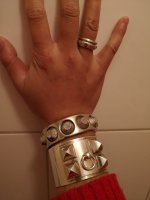 2018-11-28 Hermès Collier De Chien WB2.jpg