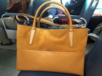 HoneyCommuter1.jpg