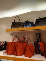 IMG_20181201_135406.jpg