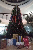 IMG_20181205_1805557.jpg