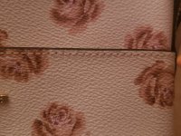 20181207_020101.jpg