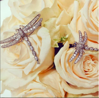 Two Dragonflies.png