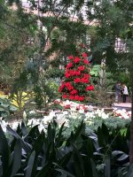IMG_4347.JPG
