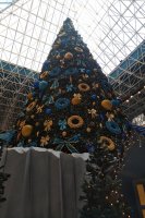 IMG_20181208_1502523.jpg