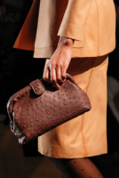 BV Fall:Winter Clutch14.png