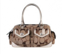 6232 signature satchel carryall.png