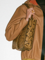 BV Pre-Fall 2019 Detail 09.png